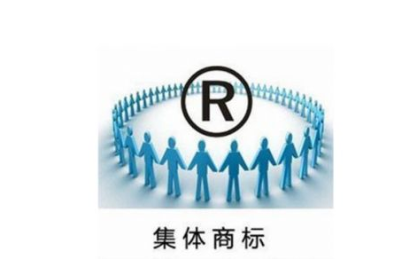 如何查询公司的商标注册